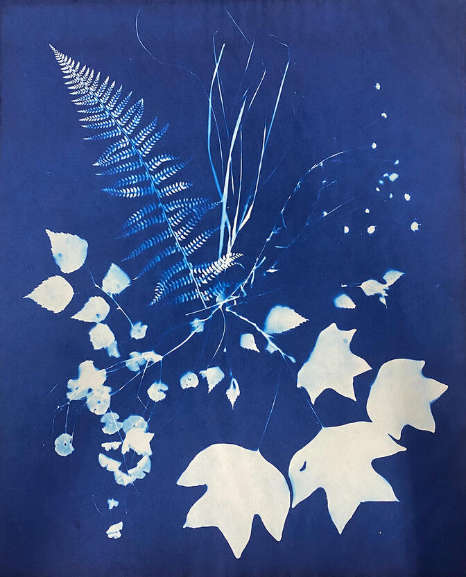 Cyanotype print, Oldham